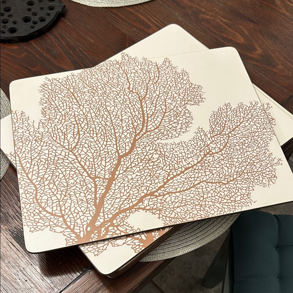 Pottery Barn Tan Cork Placemats 8